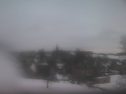 _190207163116