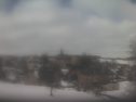 _190208124053