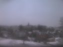 _190212081821