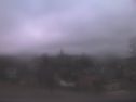 _190301173310