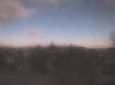 _190308081833