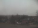_190310081839